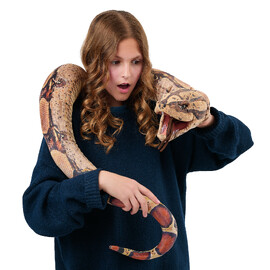 Folkmanis Boa Constrictor Puppet
