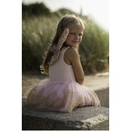 Great Pretenders Rose Gold Tutu & Wings Set Size 4-6