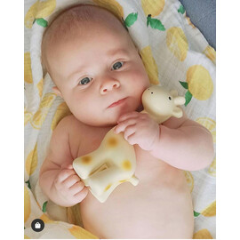 Tikiri Giraffe Rubber Teether Rattle & Bath Toy in Retail Box