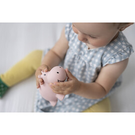 Tikiri Hippo Rubber Teether Rattle & Bath Toy in Retail Box