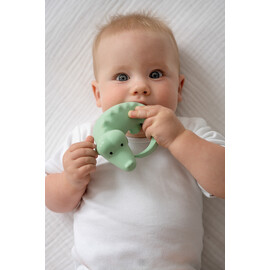 Tikiri Crocodile Rubber Teether Rattle & Bath Toy in Retail Box