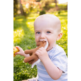 Tikiri Horse Rubber Teether Rattle & Bath Toy in Retail Box