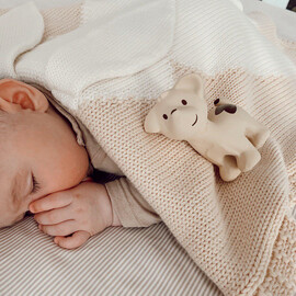 Tikiri Puppy Rubber Teether Rattle & Bath Toy in Retail Box