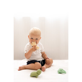 Tikiri Turtle Rubber Teether Rattle & Bath Toy in Retail Box