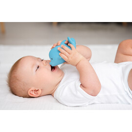 Tikiri Dolphin  Rubber Teether Rattle & Bath Toy in Retail Box