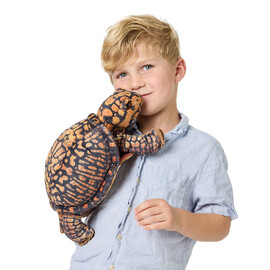 Folkmanis Box Turtle Puppet