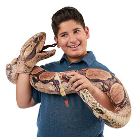Folkmanis Boa Constrictor Puppet