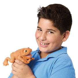 Folkmanis Toad Finger Puppet