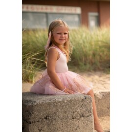 Great Pretenders Rose Gold Tutu & Wings Set Size 4-6