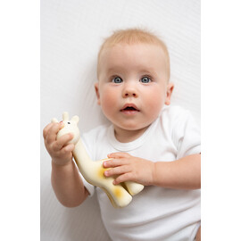 Tikiri Giraffe Rubber Teether Rattle & Bath Toy in Retail Box