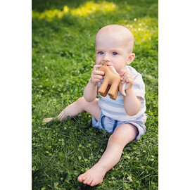 Tikiri Horse Rubber Teether Rattle & Bath Toy in Retail Box