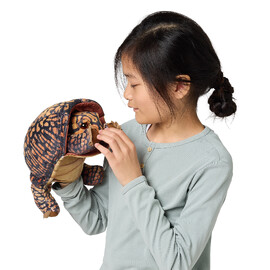Folkmanis Box Turtle Puppet