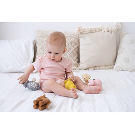 Tikiri Pig Rubber Teether Rattle & Bath Toy in Retail Box