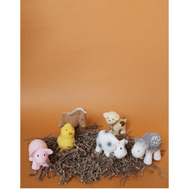 Tikiri Horse Rubber Teether Rattle & Bath Toy in Retail Box