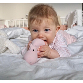 Tikiri Hippo Rubber Teether Rattle & Bath Toy in Retail Box