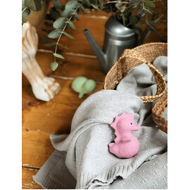 Tikiri Sea Horse  Rubber Teether Rattle & Bath Toy in Retail Box