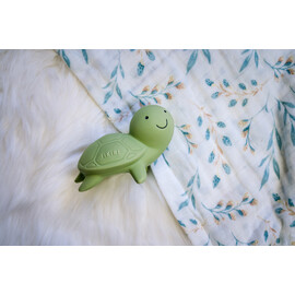 Tikiri Turtle Rubber Teether Rattle & Bath Toy in Retail Box