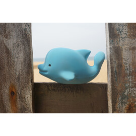 Tikiri Dolphin  Rubber Teether Rattle & Bath Toy in Retail Box