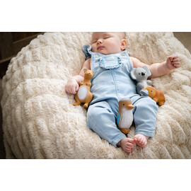 Tikiri Platypus  Rubber Teether Rattle & Bath Toy in Retail Box