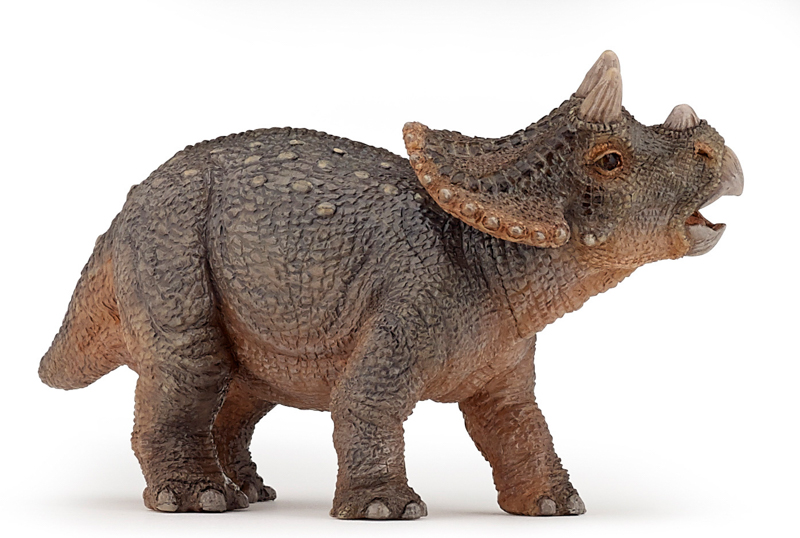 DinosaursYoung triceratops Papo