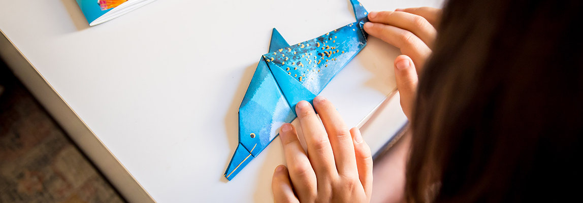 Djeco Origami Paper Folding Craft DJ8755