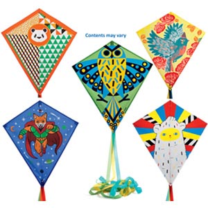 10 Assorted Djeco Kites