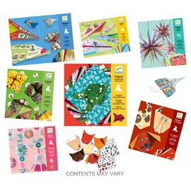 10 Assorted Origami(1)