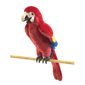 Macaw, Scarlet Puppet