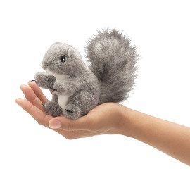 Squirrel, Grey Finger (4)
