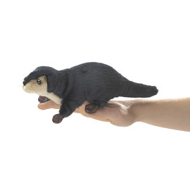 Otter, River Finger (4)