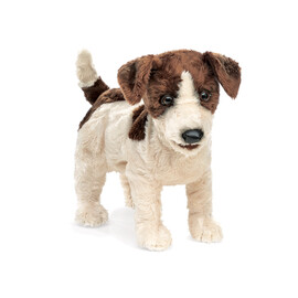 Dog, Jack Russell Puppet