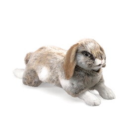 Rabbit, Holland Lop Puppet