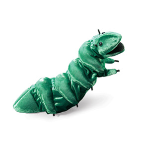 Insect Caterpillar(1)
