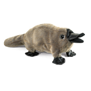 Platypus, Baby Puppet