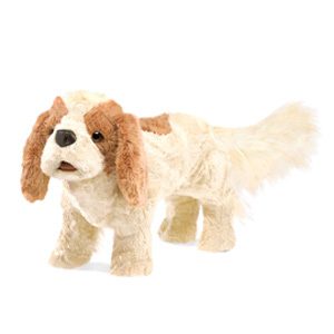 Dog, CavalierKing Puppet