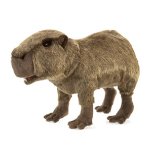Capybara
