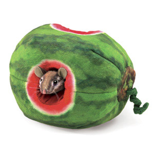 Chipmunk In Watermelon