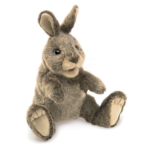Rabbit, Cottontail Small
