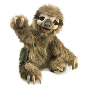 Sloth, Three Toed