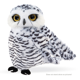 Small Snowy OWL MOQ2