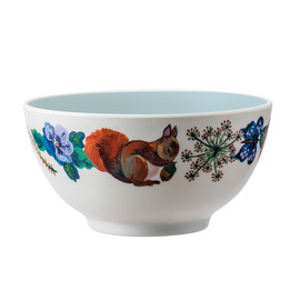 Bowl Squirrels(1)