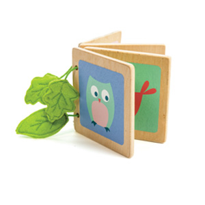 Woody Woodland Book