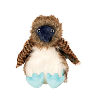 Benny The Blue Footed Booby