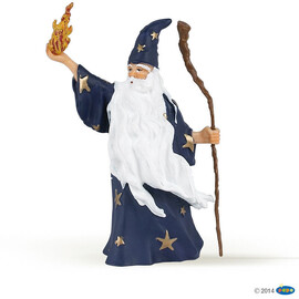 EnchantMerlin the magician