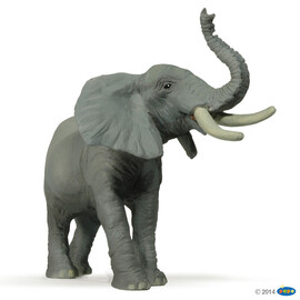 WildTrumpetingElephant