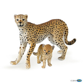 zzWildCheetah with cub
