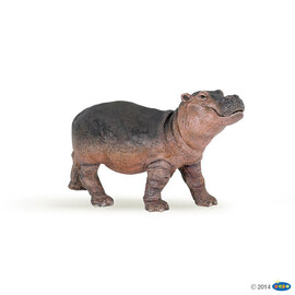 WildHippotamusCalf