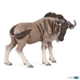 ##WildGnu(Wildebest)