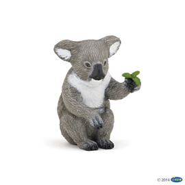 ##WildKoala
