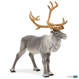 #WildReindeer